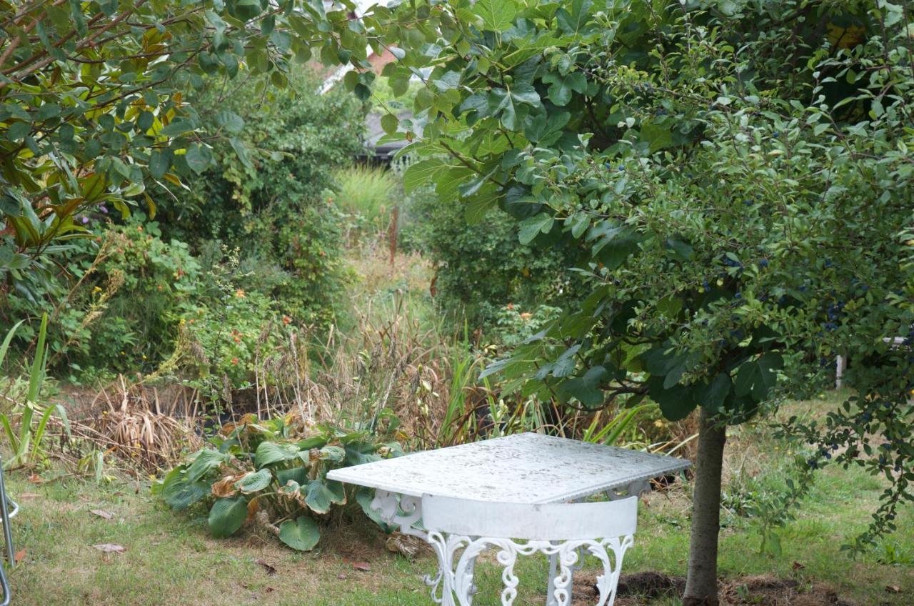 Cissbury Homestay *
